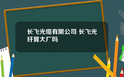 长飞光缆有限公司 长飞光纤算大厂吗