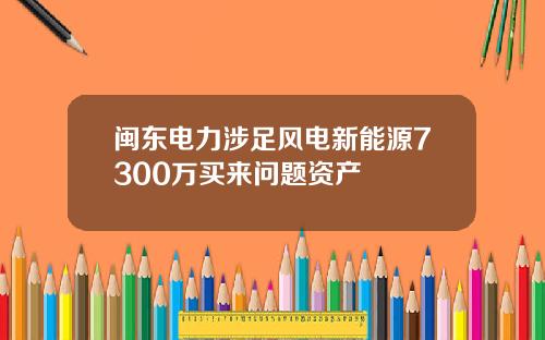 闽东电力涉足风电新能源7300万买来问题资产