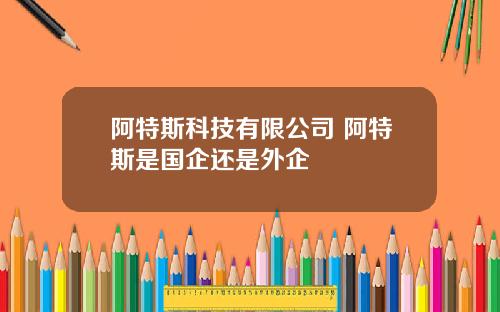 阿特斯科技有限公司 阿特斯是国企还是外企