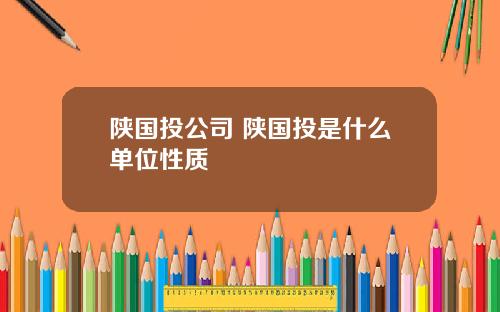 陕国投公司 陕国投是什么单位性质