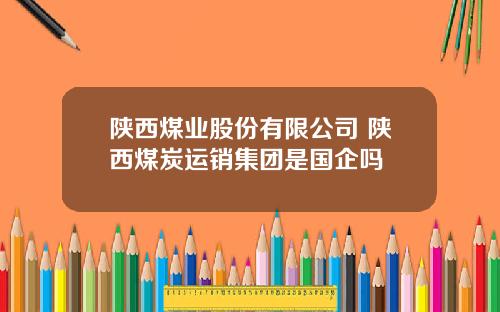 陕西煤业股份有限公司 陕西煤炭运销集团是国企吗