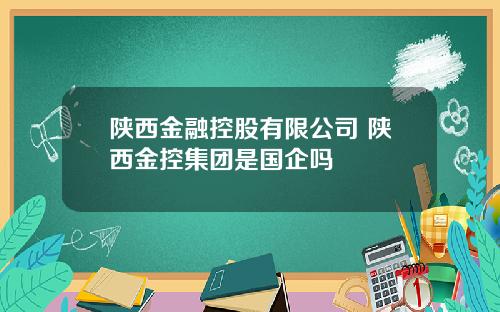 陕西金融控股有限公司 陕西金控集团是国企吗