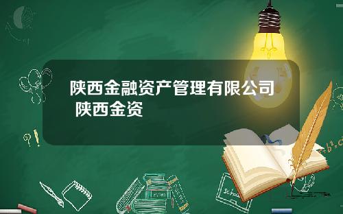 陕西金融资产管理有限公司 陕西金资