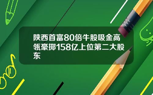 陕西首富80倍牛股吸金高瓴豪掷158亿上位第二大股东