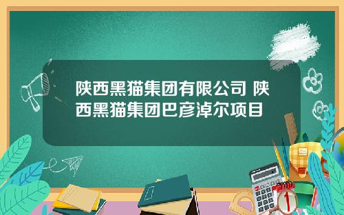 陕西黑猫集团有限公司 陕西黑猫集团巴彦淖尔项目
