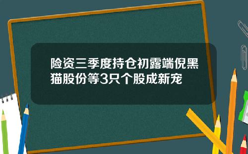险资三季度持仓初露端倪黑猫股份等3只个股成新宠