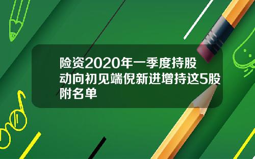 险资2020年一季度持股动向初见端倪新进增持这5股附名单