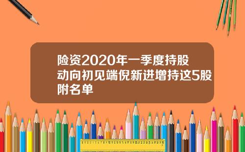 险资2020年一季度持股动向初见端倪新进增持这5股附名单