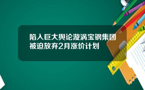 陷入巨大舆论漩涡宝钢集团被迫放弃2月涨价计划
