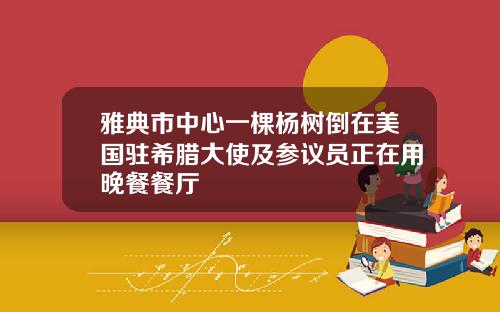 雅典市中心一棵杨树倒在美国驻希腊大使及参议员正在用晚餐餐厅