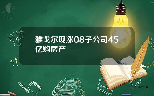 雅戈尔现涨08子公司45亿购房产