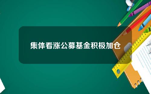 集体看涨公募基金积极加仓