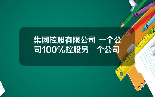 集团控股有限公司 一个公司100%控股另一个公司
