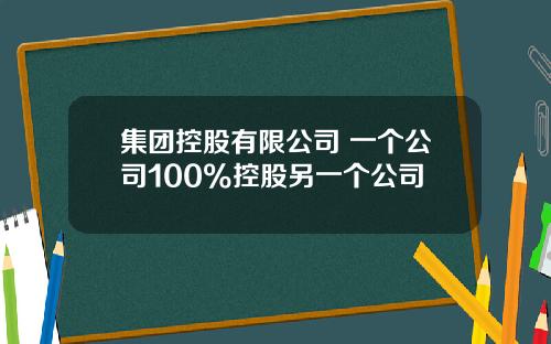 集团控股有限公司 一个公司100%控股另一个公司