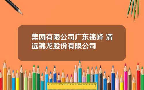 集团有限公司广东锦峰 清远锦龙股份有限公司