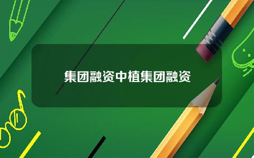 集团融资中植集团融资