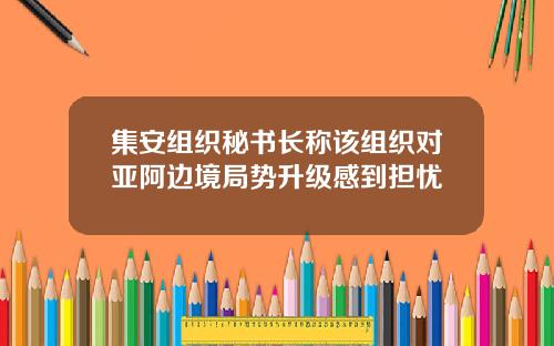 集安组织秘书长称该组织对亚阿边境局势升级感到担忧