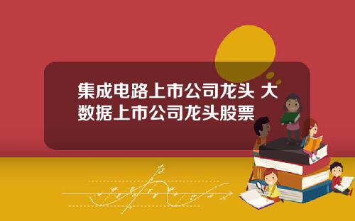 集成电路上市公司龙头 大数据上市公司龙头股票