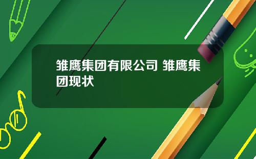 雏鹰集团有限公司 雏鹰集团现状