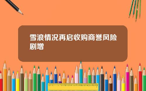 雪浪情况再启收购商誉风险剧增