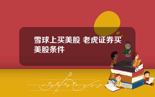 雪球上买美股 老虎证券买美股条件
