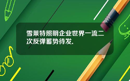 雪莱特照明企业世界一流二次反弹蓄势待发.