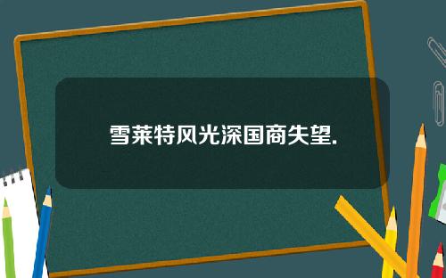 雪莱特风光深国商失望.