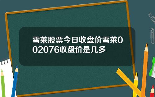 雪莱股票今日收盘价雪莱002076收盘价是几多