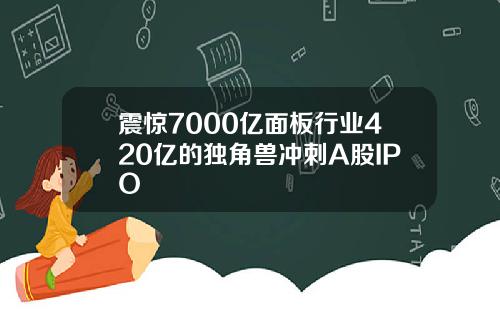 震惊7000亿面板行业420亿的独角兽冲刺A股IPO