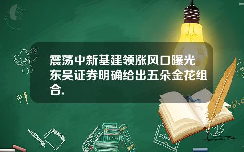 震荡中新基建领涨风口曝光东吴证券明确给出五朵金花组合.