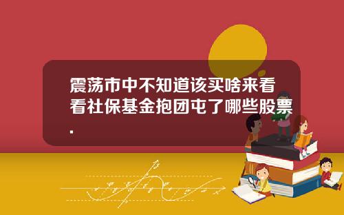 震荡市中不知道该买啥来看看社保基金抱团屯了哪些股票.