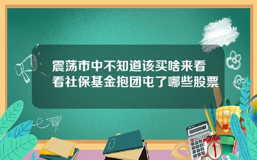震荡市中不知道该买啥来看看社保基金抱团屯了哪些股票