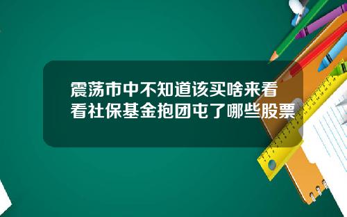 震荡市中不知道该买啥来看看社保基金抱团屯了哪些股票