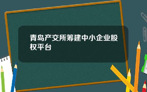 青岛产交所筹建中小企业股权平台