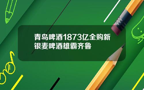 青岛啤酒1873亿全购新银麦啤酒雄霸齐鲁