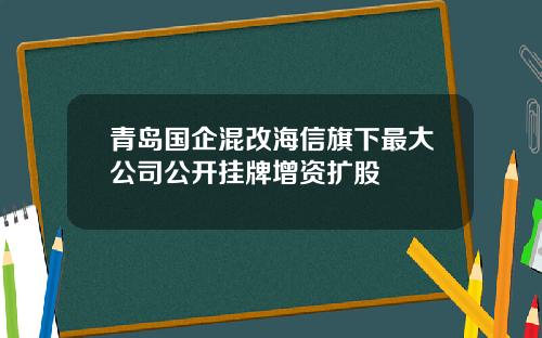青岛国企混改海信旗下最大公司公开挂牌增资扩股