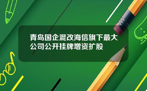 青岛国企混改海信旗下最大公司公开挂牌增资扩股