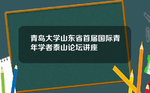 青岛大学山东省首届国际青年学者泰山论坛讲座