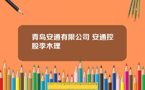 青岛安通有限公司 安通控股李木理