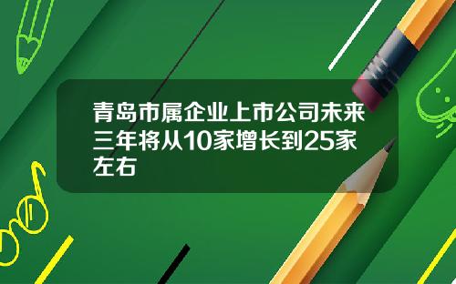 青岛市属企业上市公司未来三年将从10家增长到25家左右