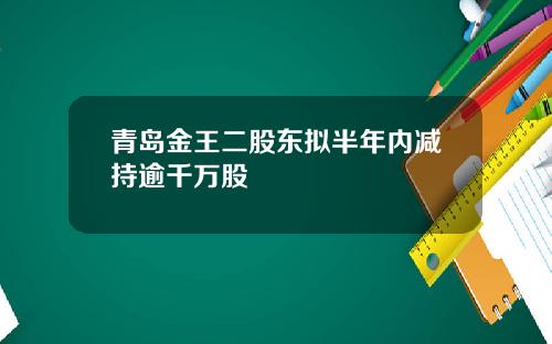 青岛金王二股东拟半年内减持逾千万股