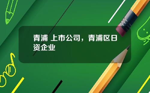 青浦 上市公司，青浦区日资企业