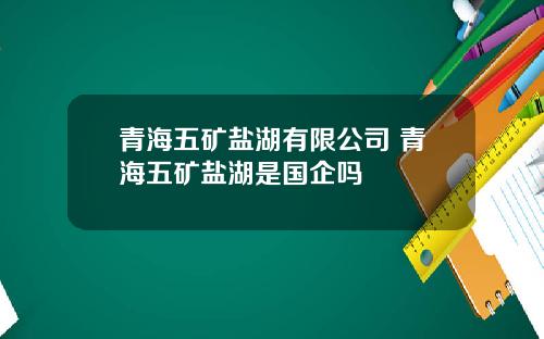 青海五矿盐湖有限公司 青海五矿盐湖是国企吗
