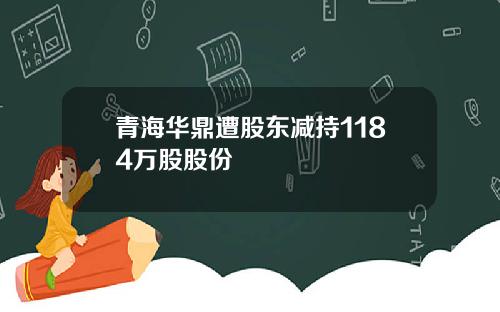 青海华鼎遭股东减持1184万股股份