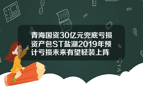 青海国资30亿元兜底亏损资产包ST盐湖2019年预计亏损未来有望轻装上阵