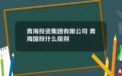 青海投资集团有限公司 青海国投什么级别