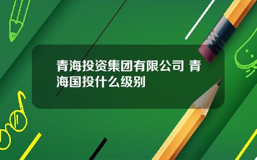 青海投资集团有限公司 青海国投什么级别