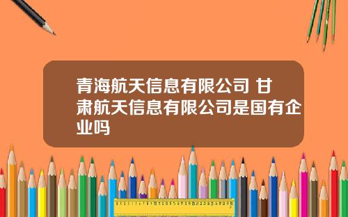 青海航天信息有限公司 甘肃航天信息有限公司是国有企业吗