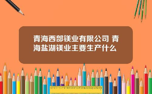 青海西部镁业有限公司 青海盐湖镁业主要生产什么