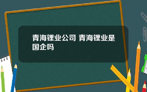 青海锂业公司 青海锂业是国企吗